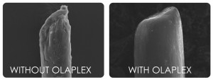 olaplex
